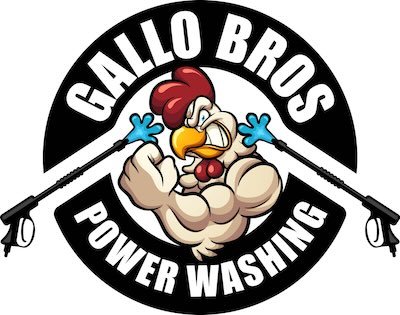 Cartoon of a muscular chick with power washing wands pointed at its head for Gallo Bros Power Washing.